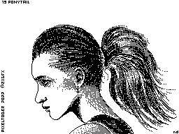 19-ponytail