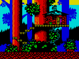 Mainday-dizzy-04