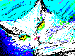 Cat-s-Dream