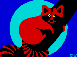 Racoon