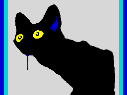 True-curios-CAT
