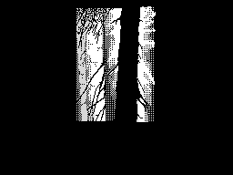 Light