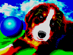 Puppy-speccy.pl-party-2018.1-7-