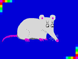 Sumchatyj-opossumchatyj-opossum