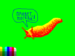 Ispanskij-gigantskij-oranzhevyj-slizen