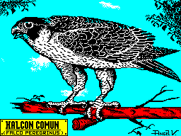 HALCON-COMUN-Microhobby-s-Pixel-a-Pixel-2-31-