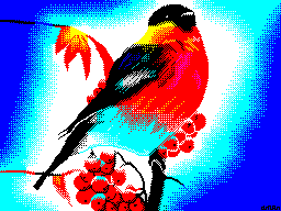 Bullfinch-DiHalt-Lite-2019-2-