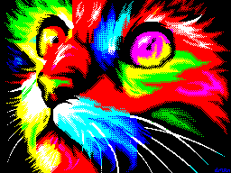 Cat-Multimatograf-2017-1-