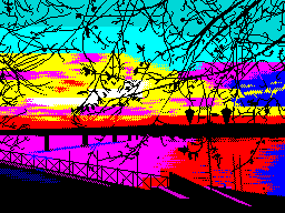 Tree-branches-at-sunset-Chaos-Constructions-Summer-2021-3-