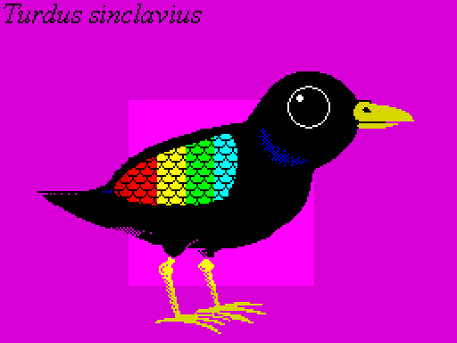 6 - Bird / Птица